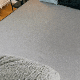 Waterproof Intimacy Blanket- Ready for Round Two